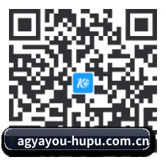 iPad 高清版 二维码