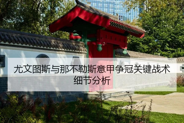 尤文图斯与那不勒斯意甲争冠关键战术细节分析 - AGAsia